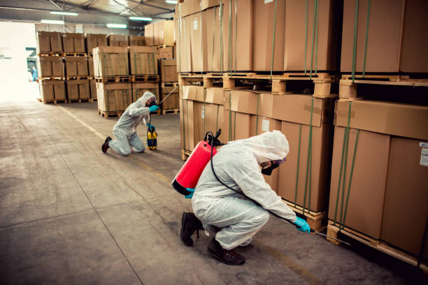 Best Affordable Pest Control Services  in Greene, RI