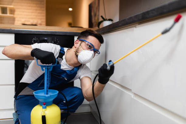 Best Residential Pest Control  in Greene, RI