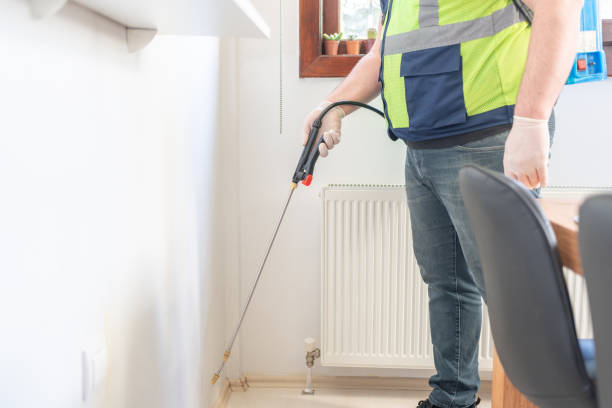 Best Wasp Removal Services  in Greene, RI