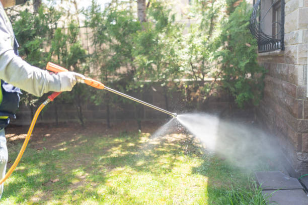 Wasp Removal Services in Greene, RI