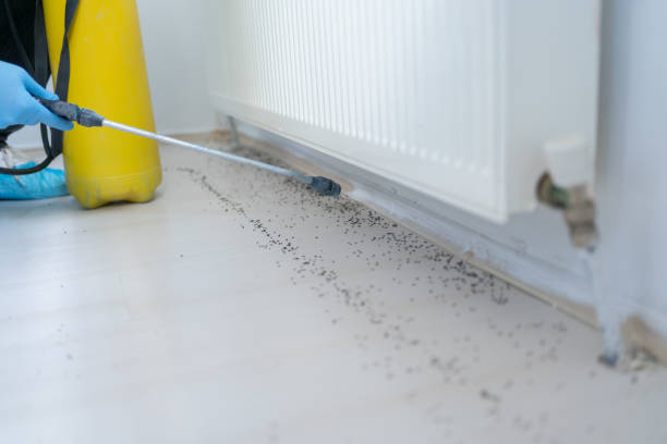 Best Affordable Pest Control Services  in Greene, RI